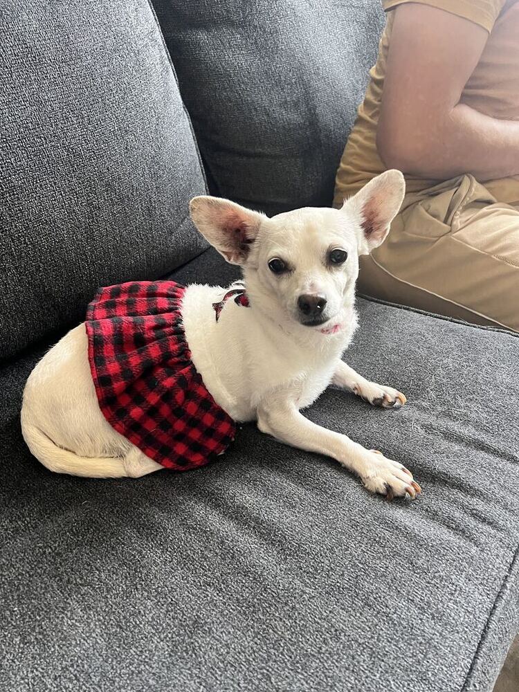 Perla