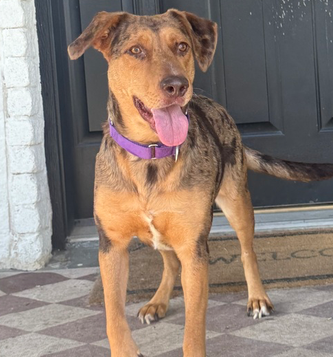 Maggie