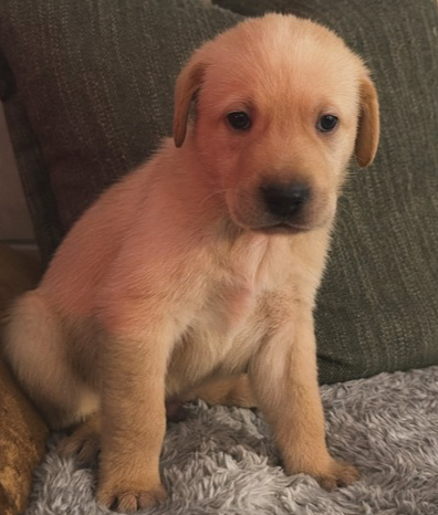 Rory