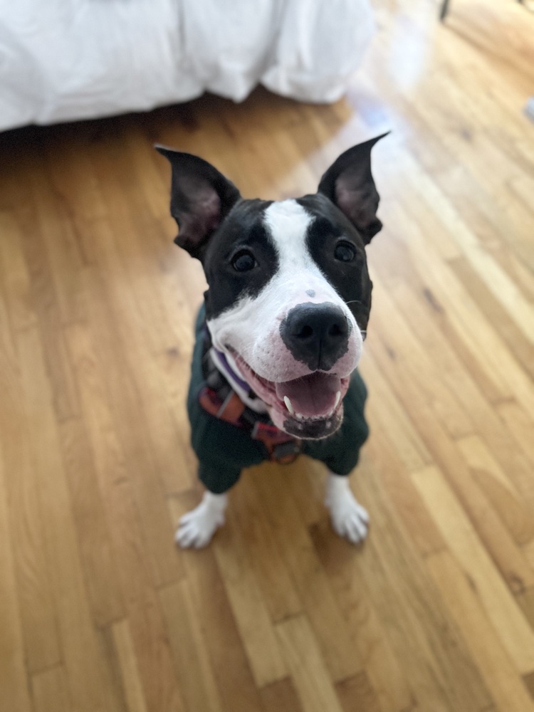 Ellie