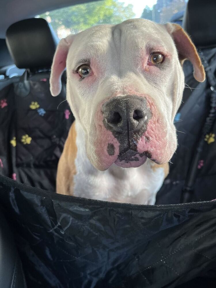 Lola