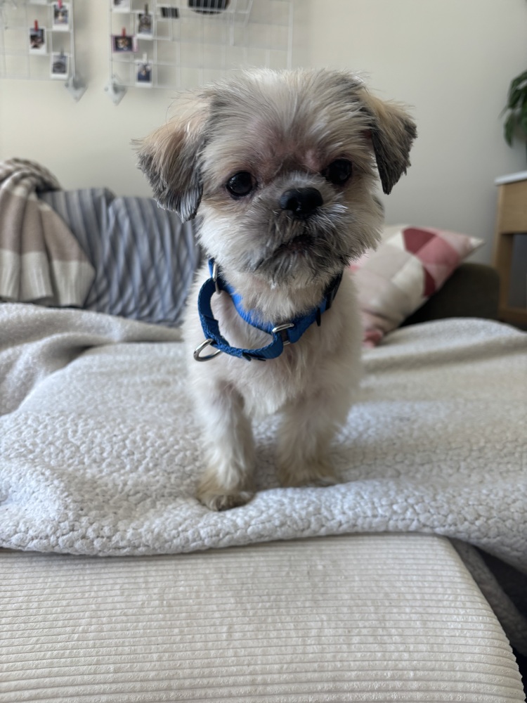 Pablo