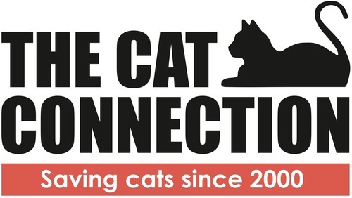 The Cat Connection