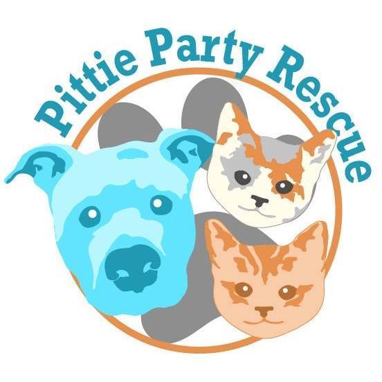 Pittie Party Rescue