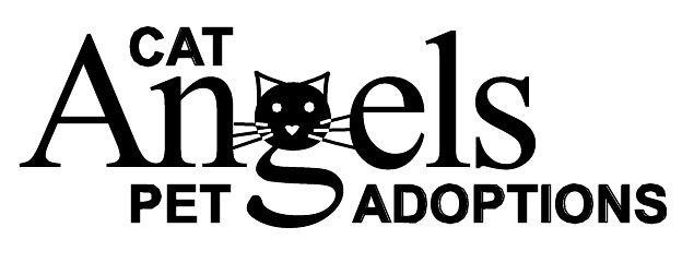 Cat Angels Pet Adoptions