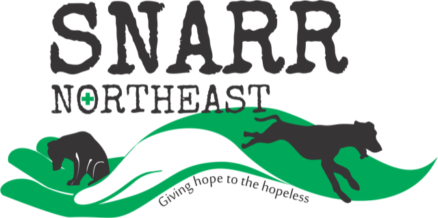 SNARR Northeast