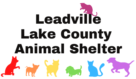 Leadville Lake County Animal Shelter