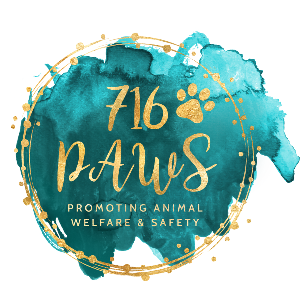 716 PAWS (Promoting Animal Welfare & Safety)