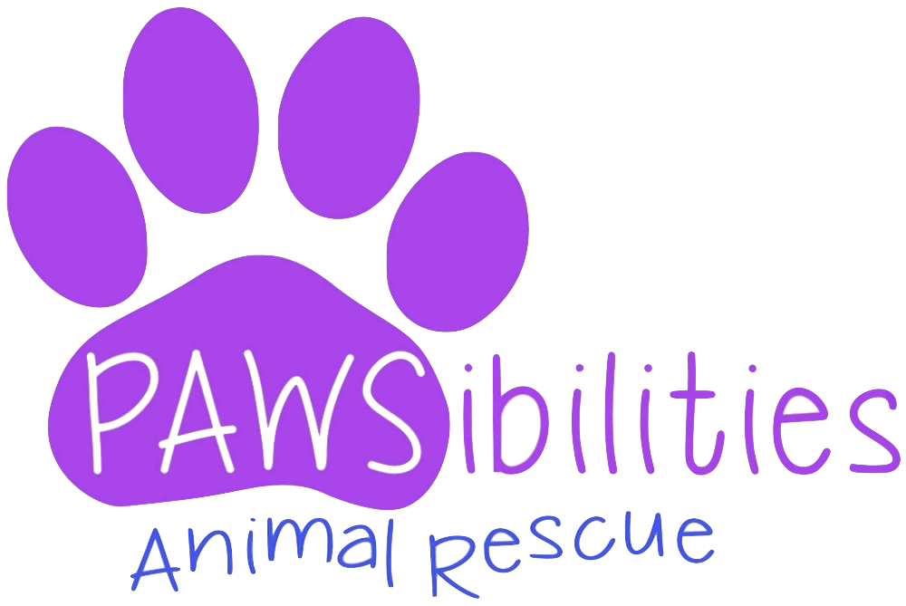 PAWSibilities Animal Rescue