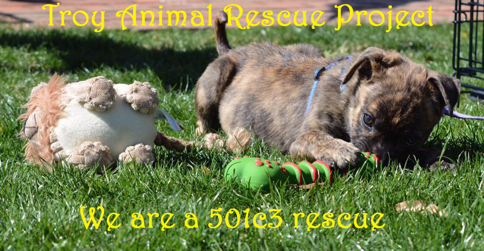 Troy Animal Rescue Project