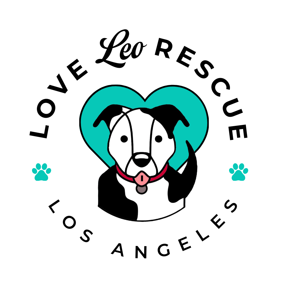 Love Leo Rescue
