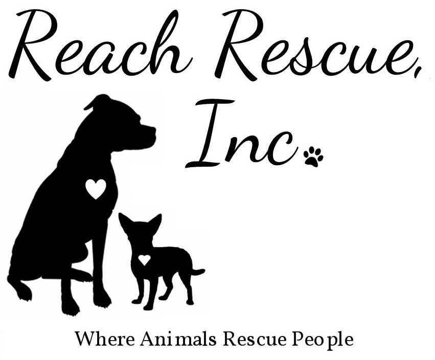 REACH Rescue Inc.