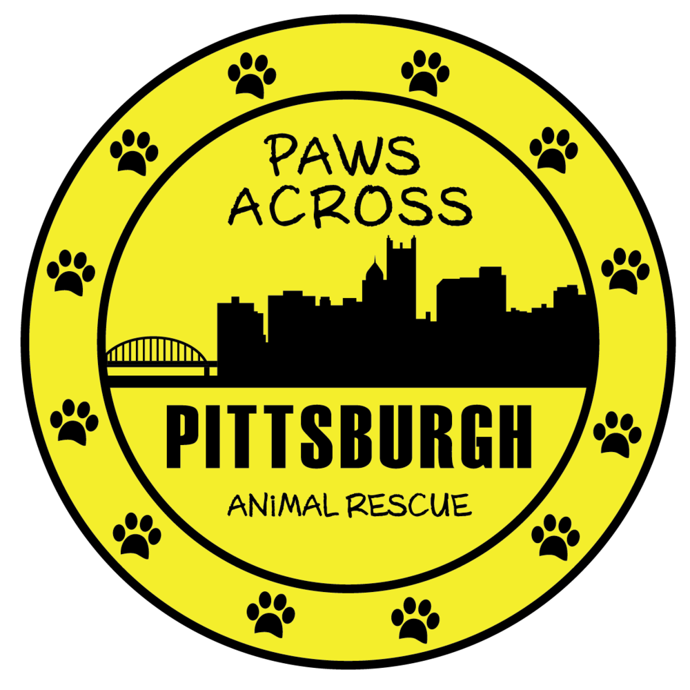 Paws Across Pittsburgh KL# 16182