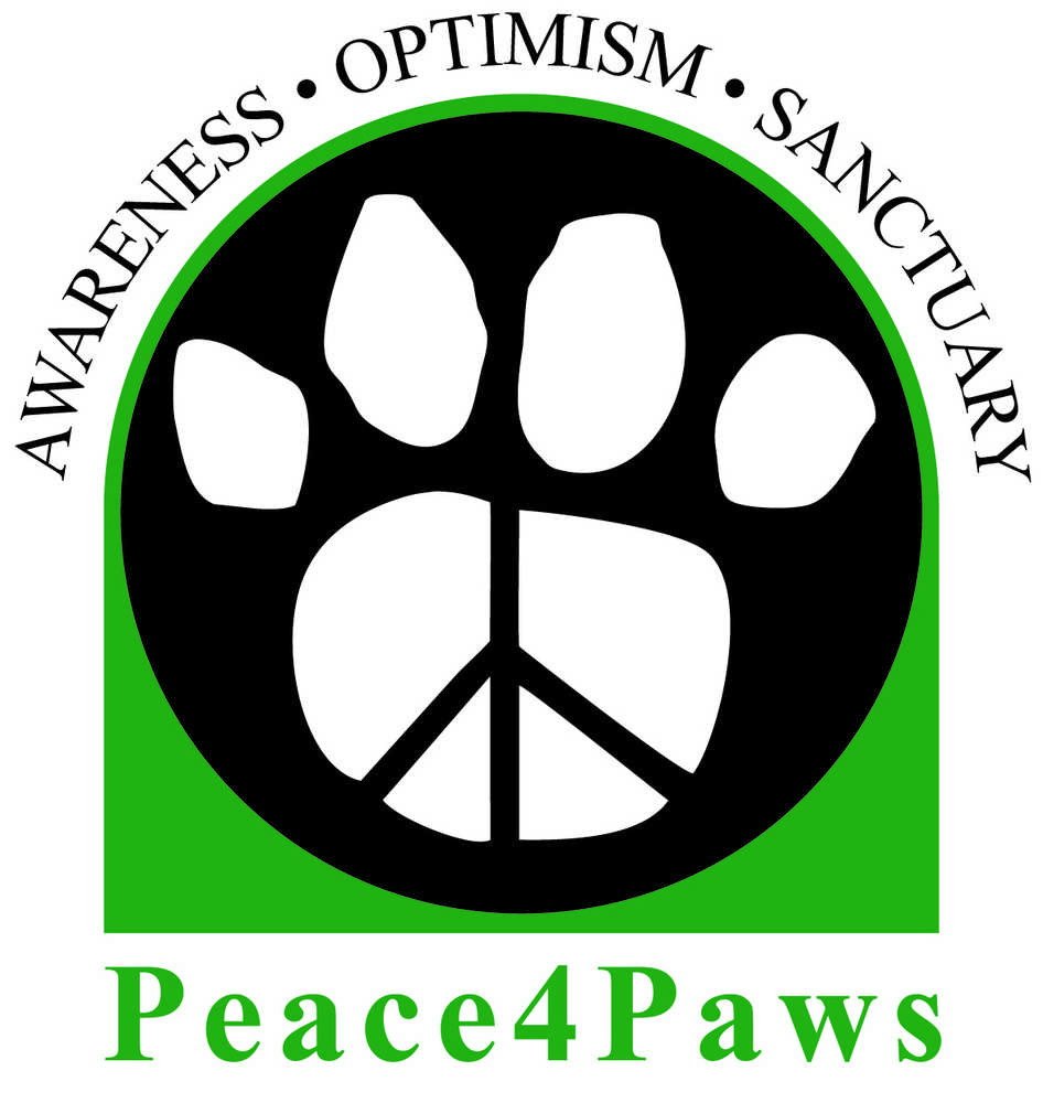 Peace4Paws