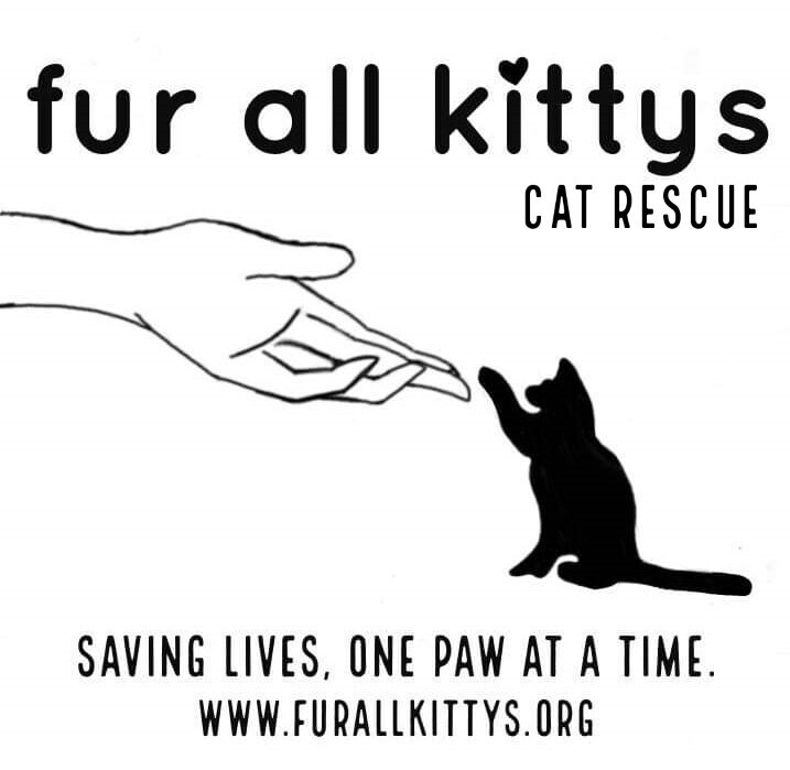 Fur All Kittys