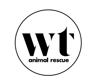 WOLF TRAP ANIMAL RESCUE
