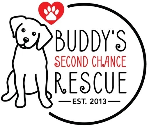 Buddy's Second Chance Rescue