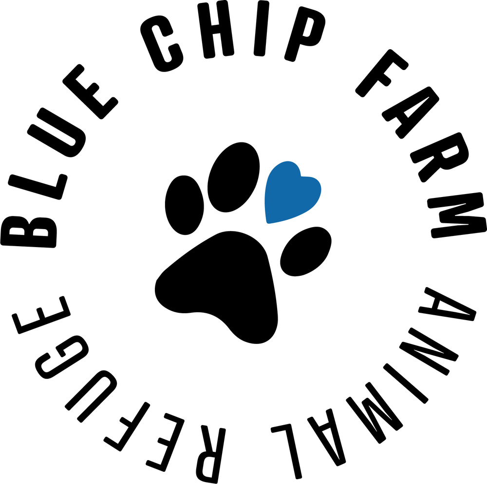 Blue Chip Farm Animal Refuge