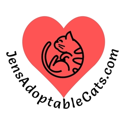 Jen's Adoptable Cats Inc.