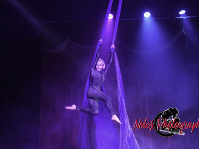 Cirque-Duluxe-at-Lee-County-Fairgrounds-7695