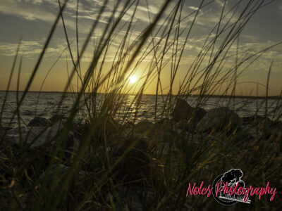 Lynn-Heaven-Noles-8576