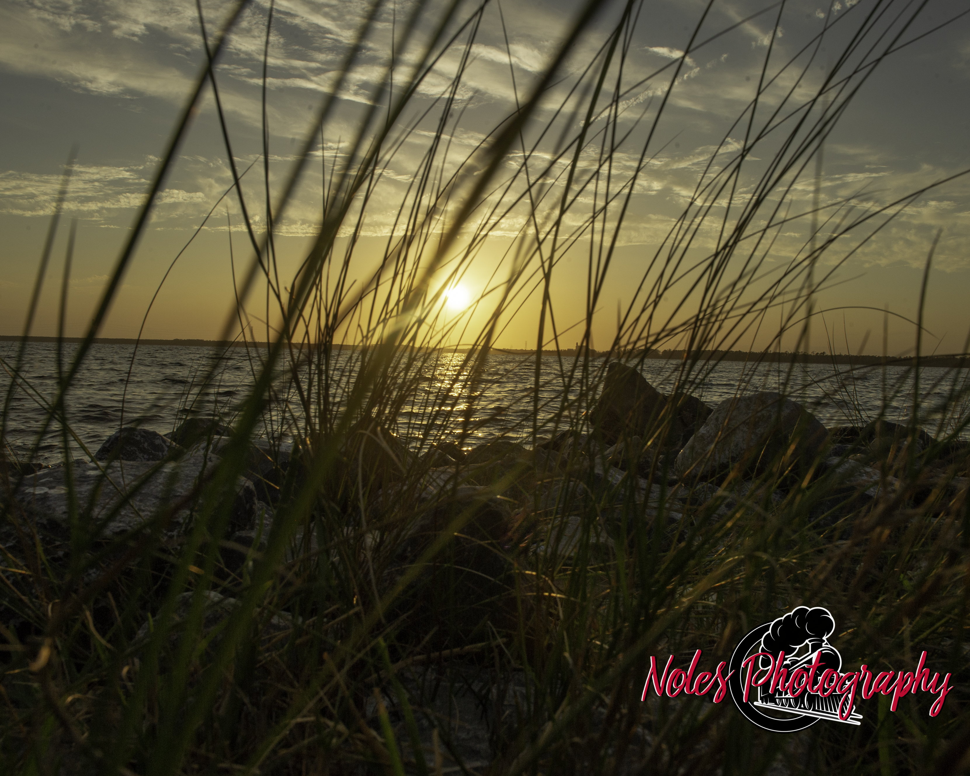 Lynn-Heaven-Noles-8576