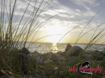 Lynn-Heaven-Noles-8569