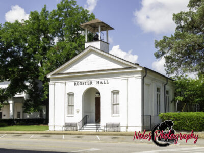 Rooster-Hall-5753