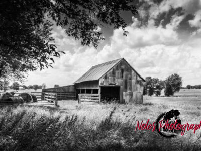 Barn-alone-Hwy-50-TX-BW-5845
