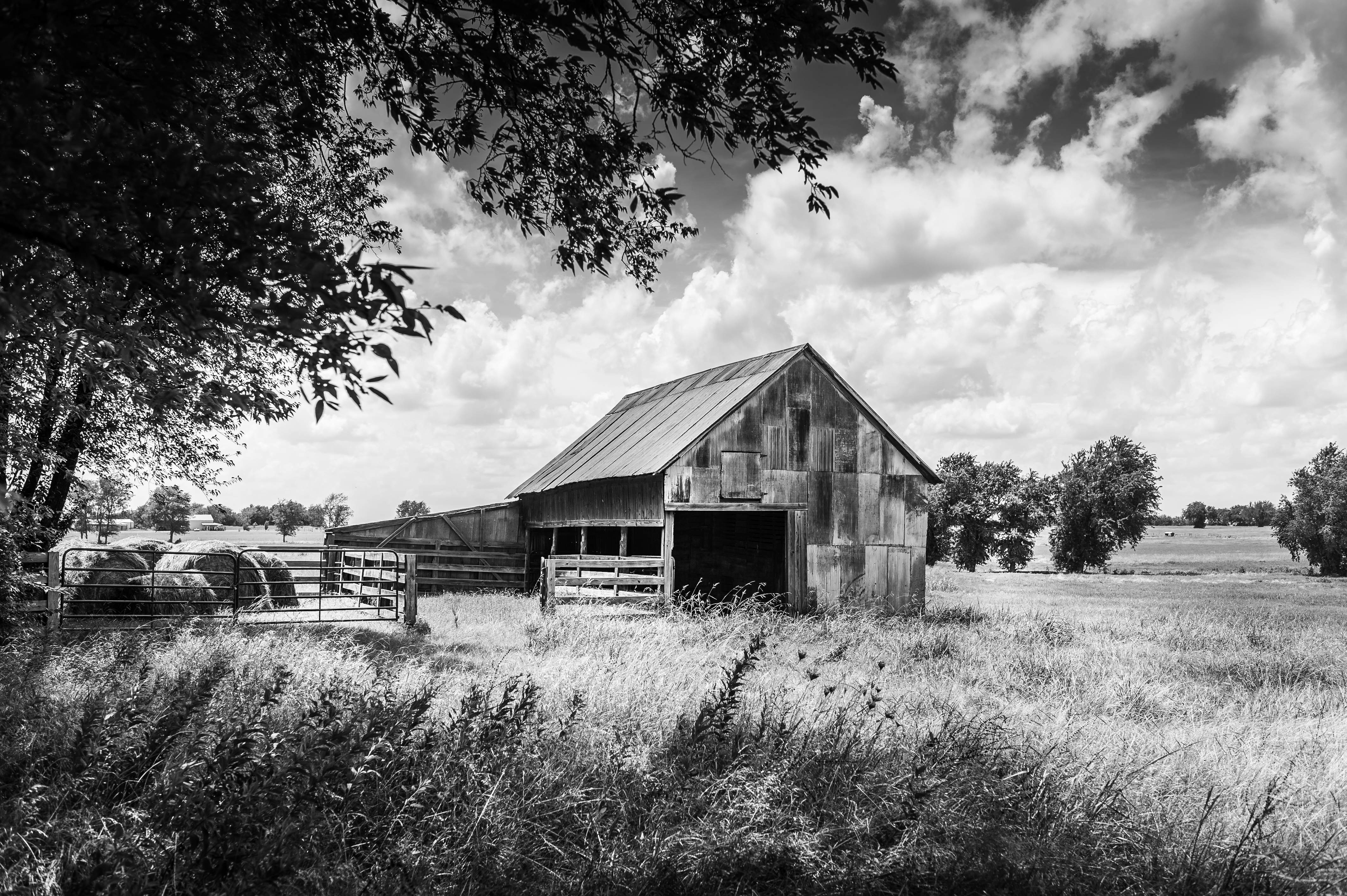 Barn-alone-Hwy-50-TX-BW-5845