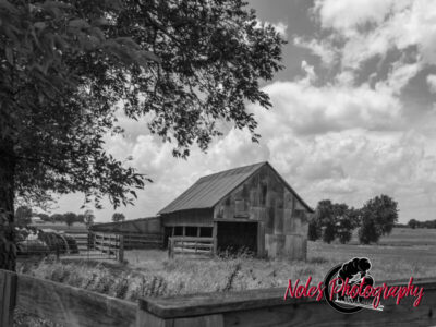 Barn-alone-Hwy-50-TX-BW-5851