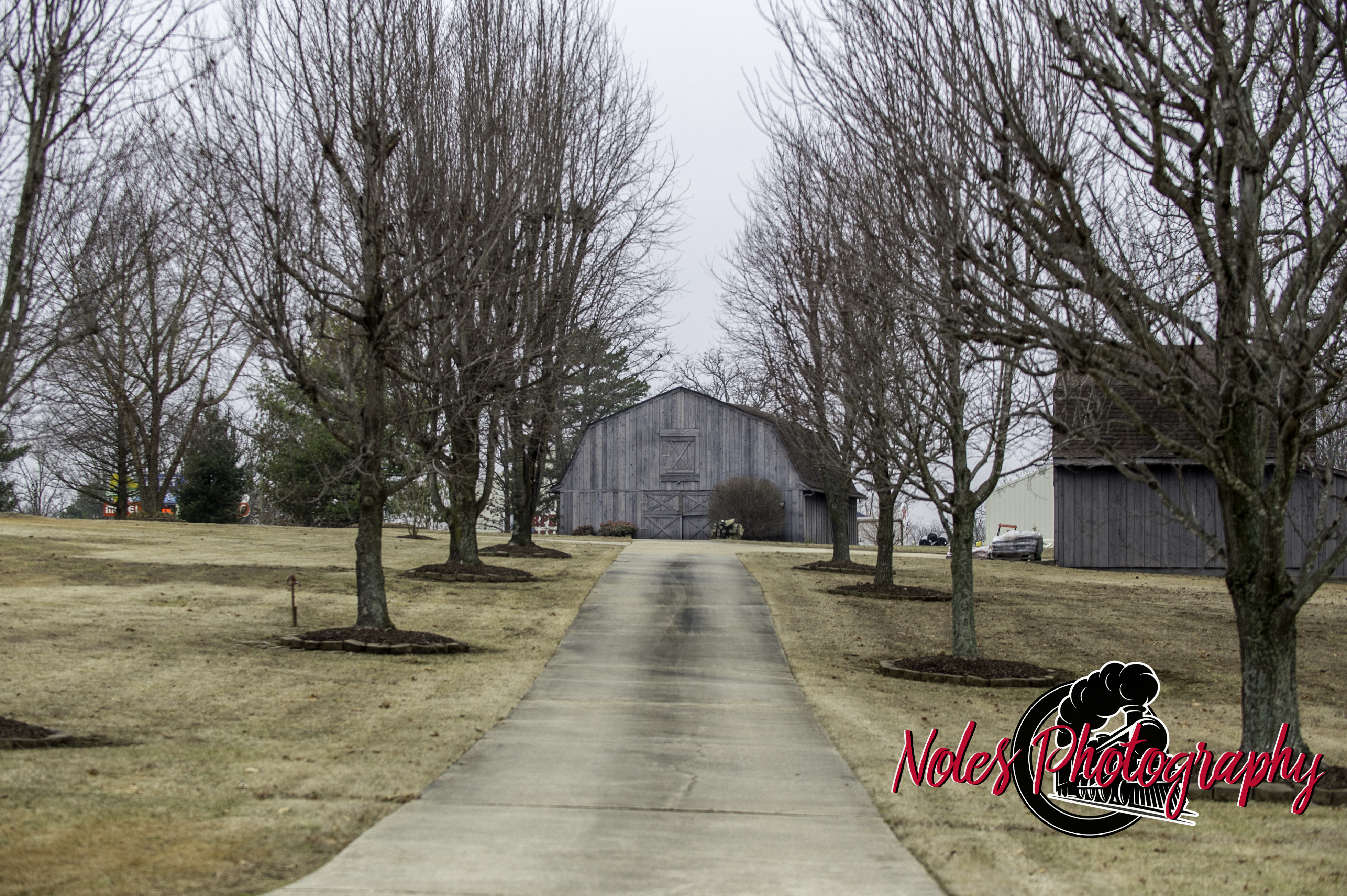 Barn-Poplar-Bluff-9241