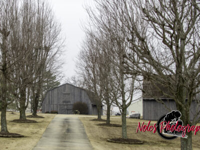 Barn-Poplar-Bluff-9243