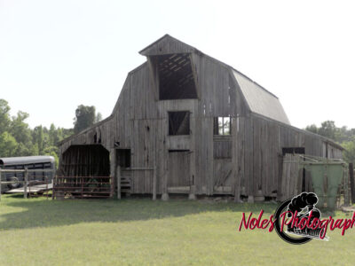 Barn-2014-01-copy