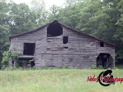 Barn-2014-02-copy