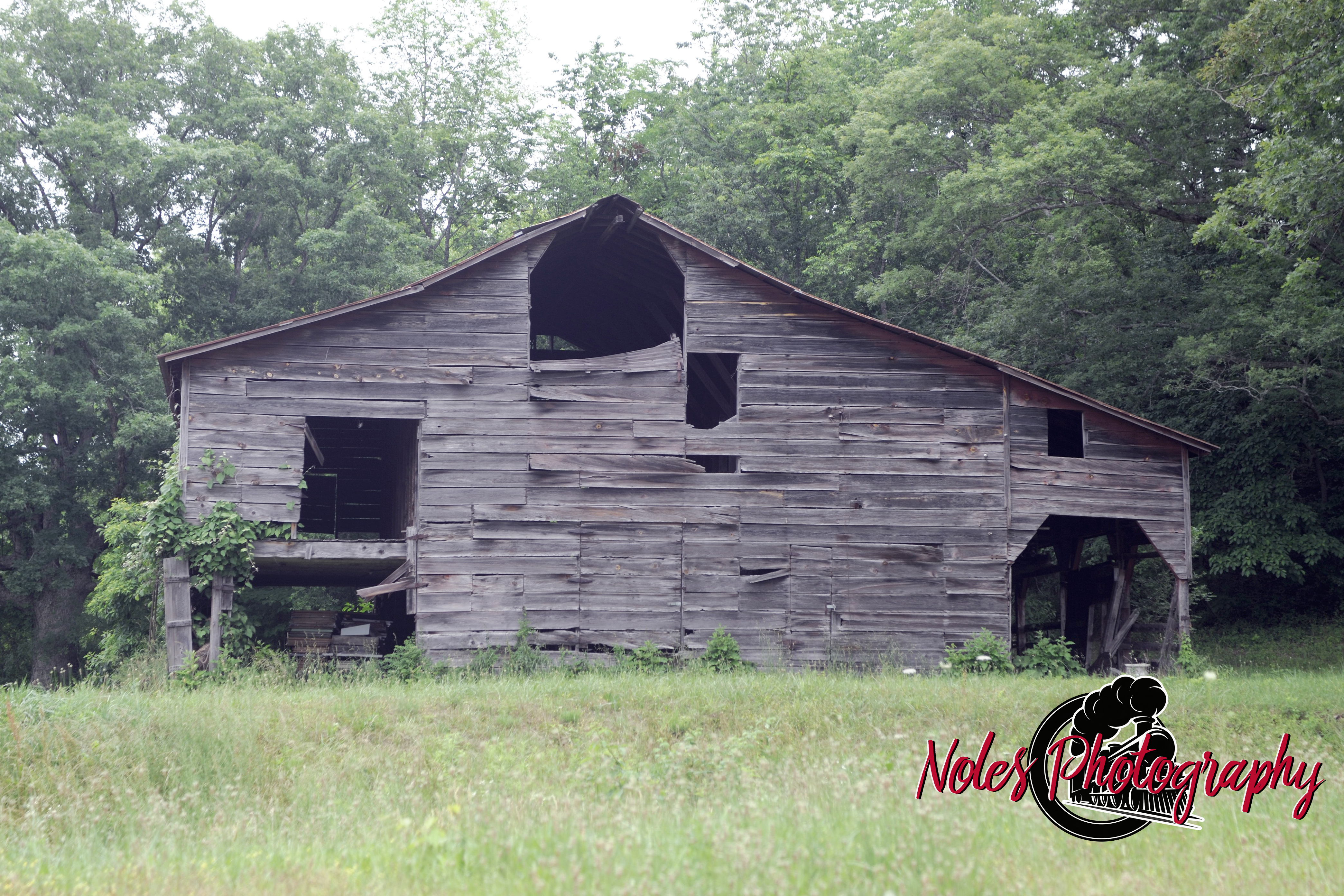Barn-2014-02-copy