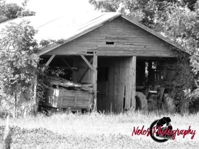 Barn-in-Miss-Delta-County-4