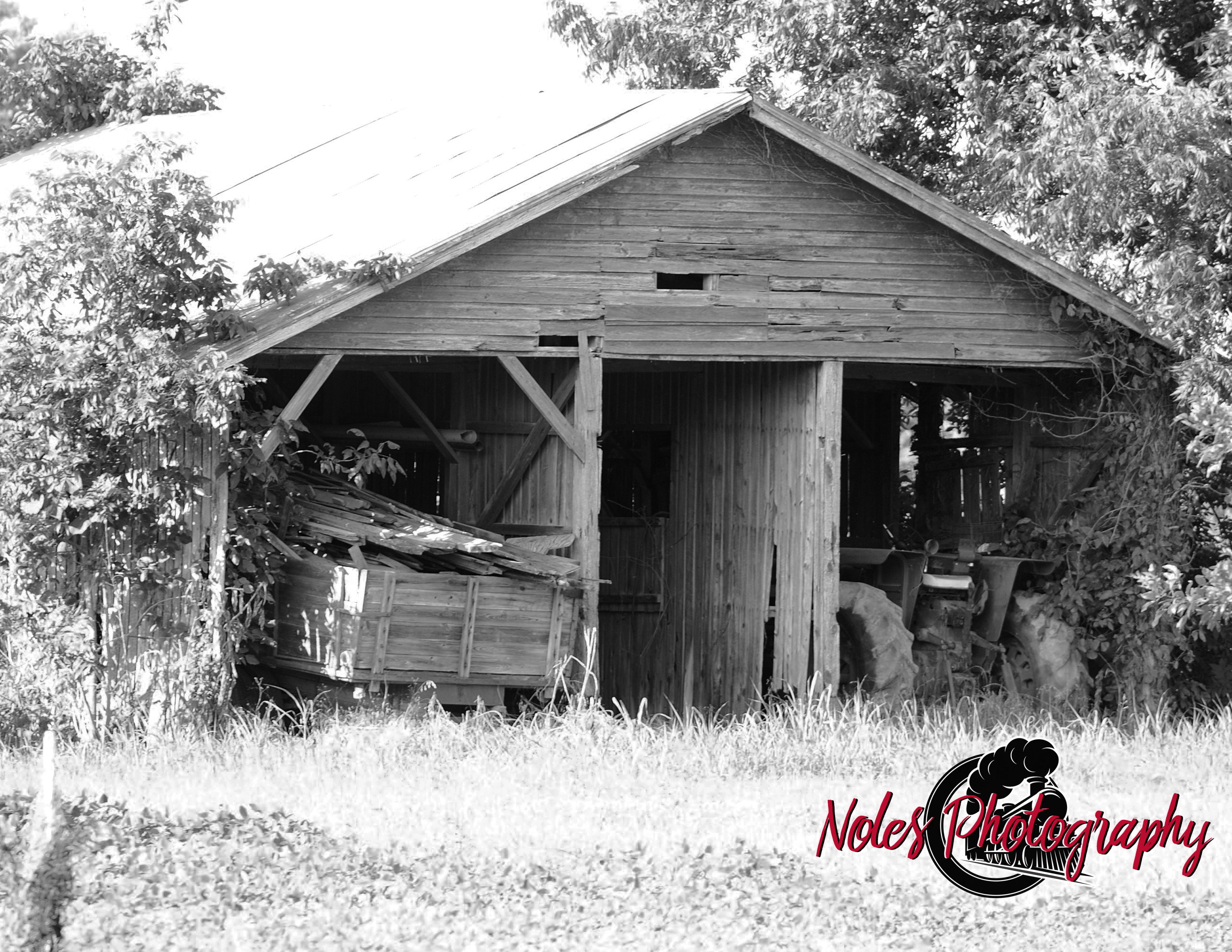 Barn-in-Miss-Delta-County-4