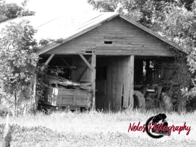 Barn-in-Miss-Delta-County-copy