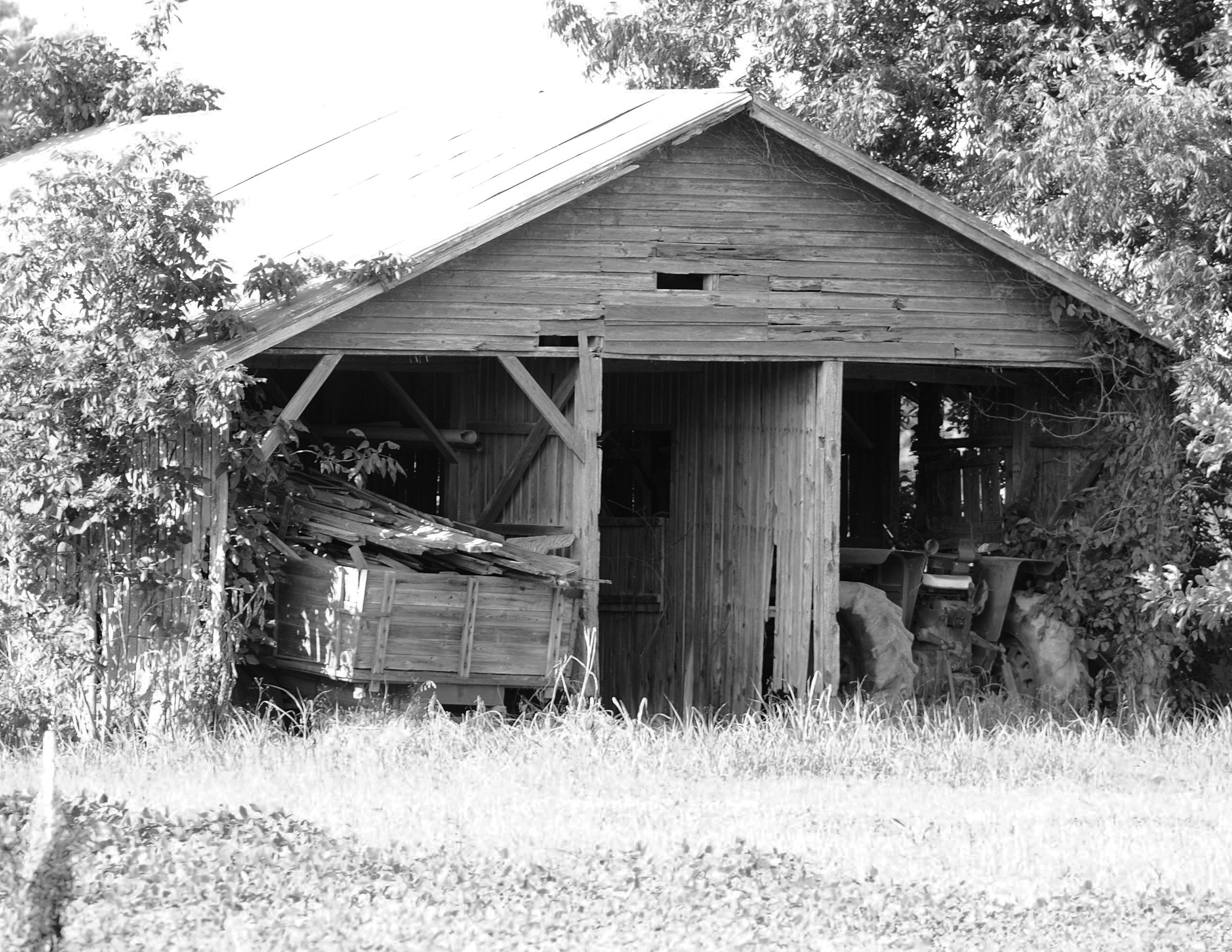 Barn-in-Miss-Delta-County-copy
