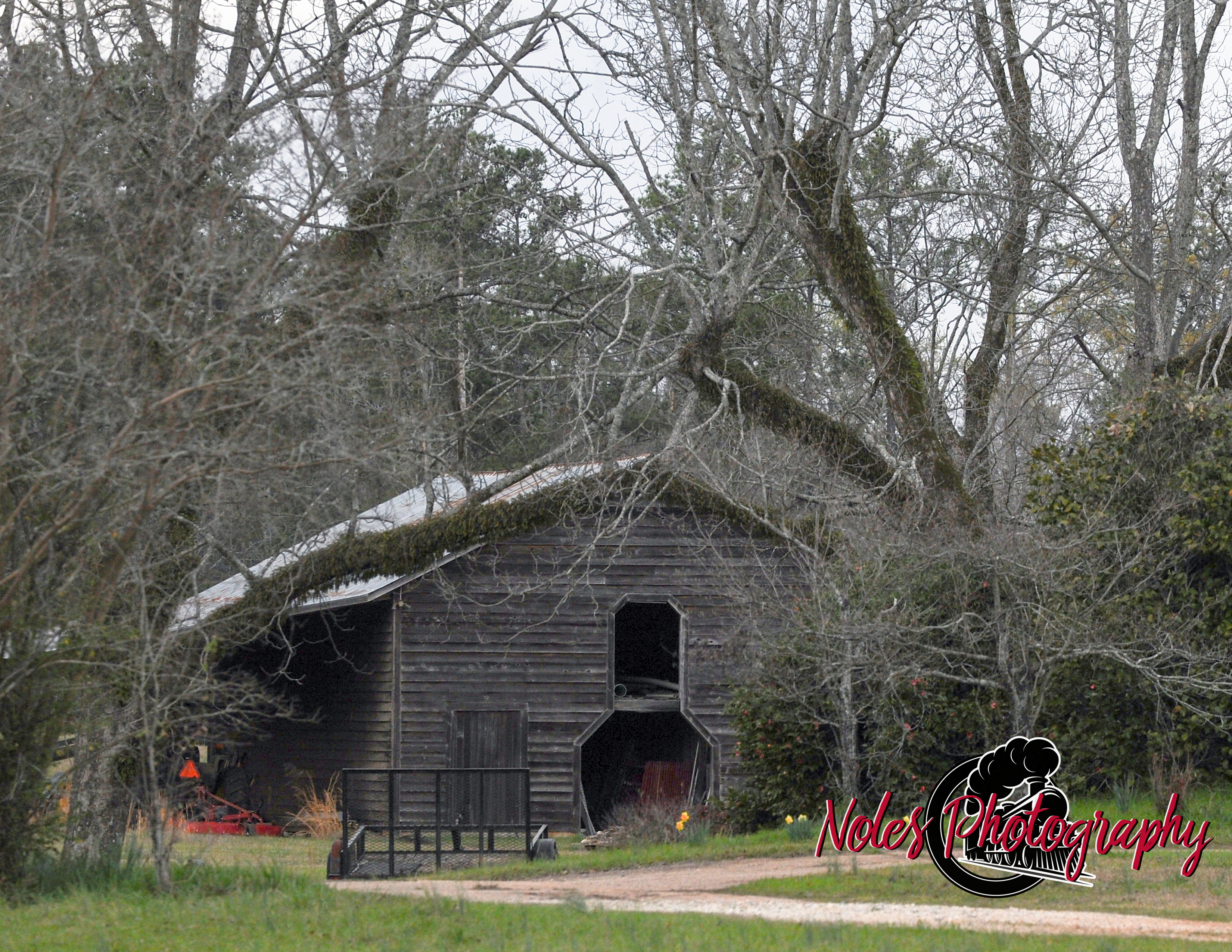 Old-Barn-Oak-Bowery_Opelika_NP3_7944