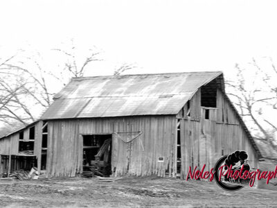 Old-Barn-Poplar-Bluff-Hywy-67_-BW_NP3_8285