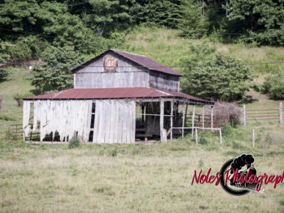 DSC2012-outside-Clayton-Ga