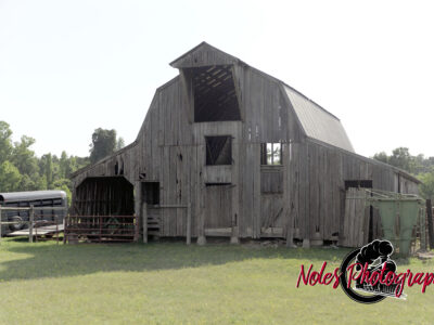 Barn-2014-01