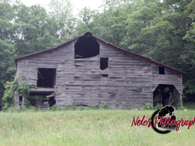 Barn-2014-02