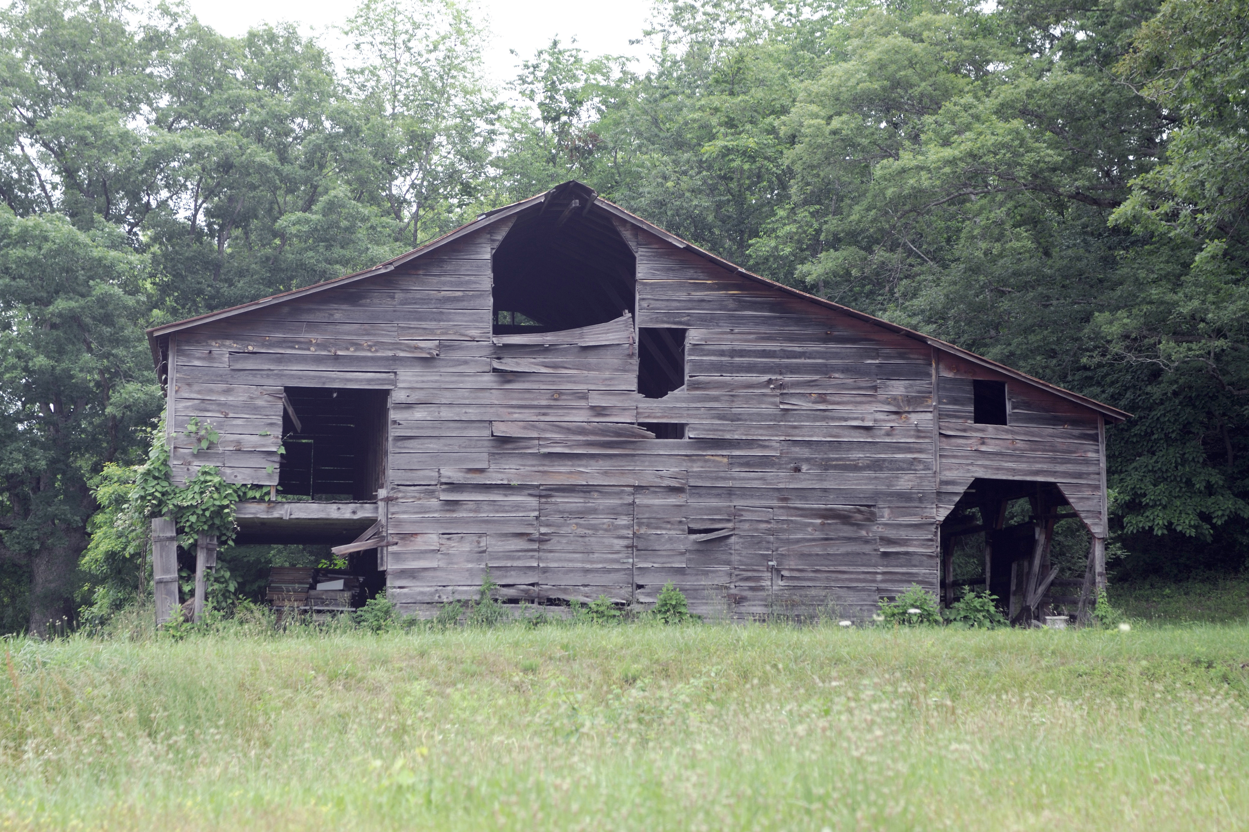Barn-2014-02