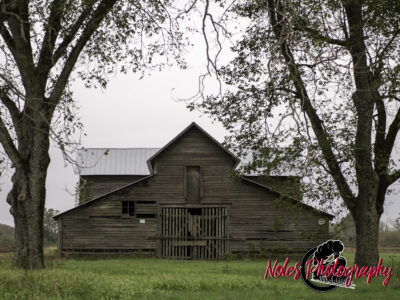 Barn-along-Hwy-431-6881