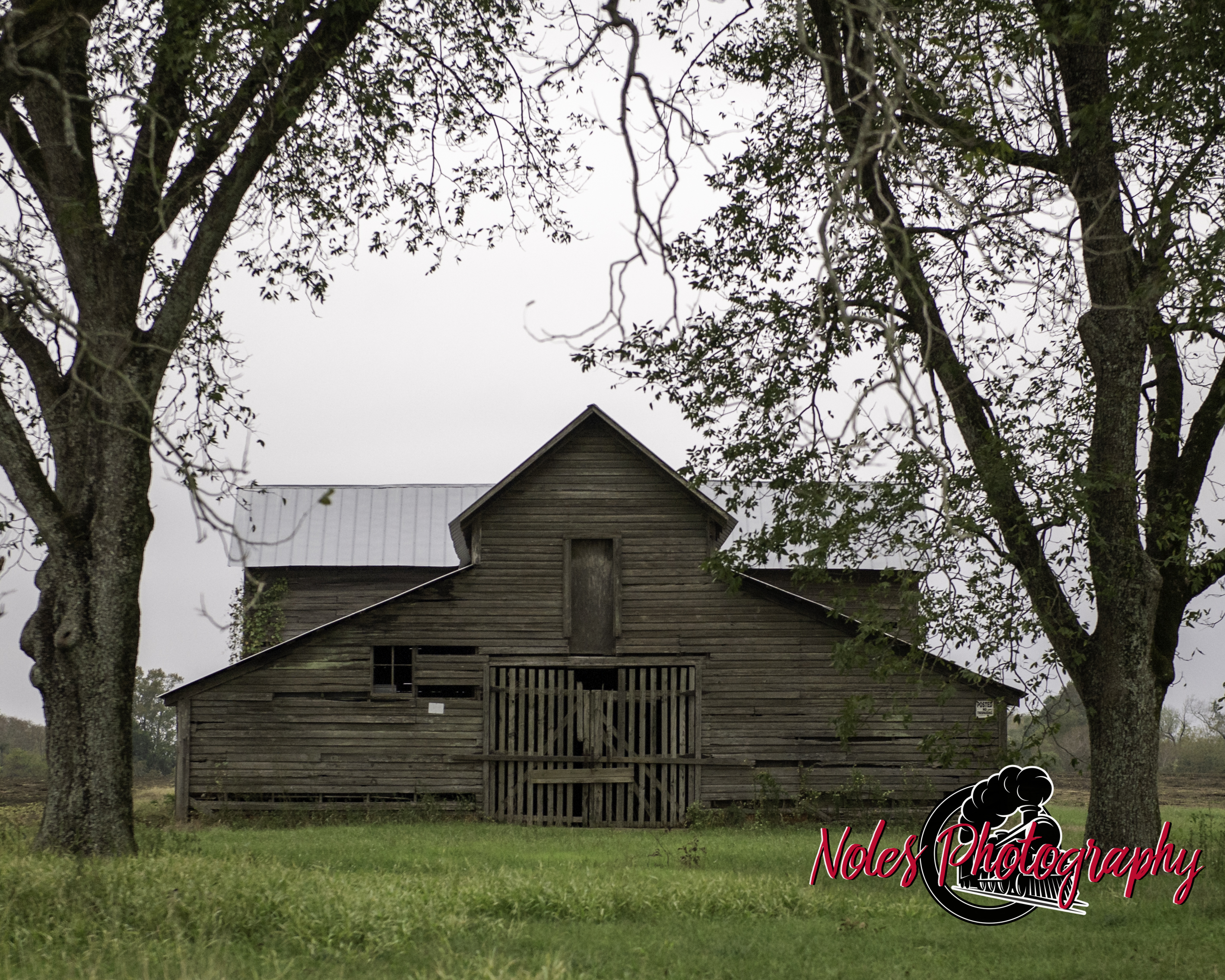 Barn-along-Hwy-431-6881