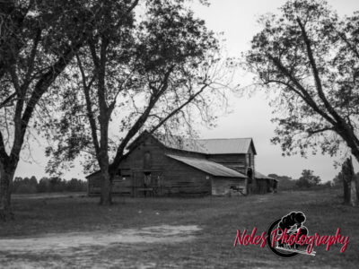 Barn-along-Hwy-431-6896-2