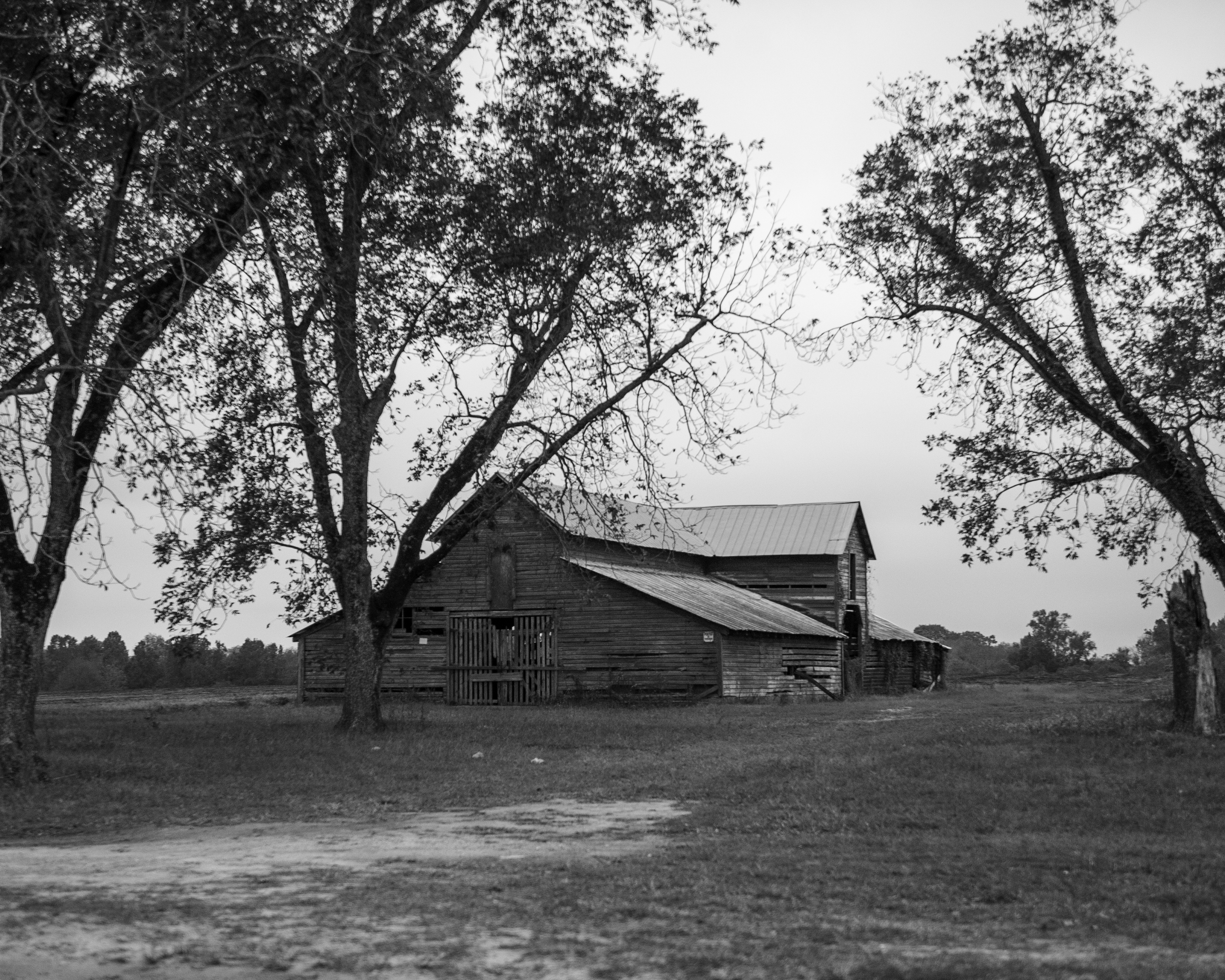 Barn-along-Hwy-431-6896-2